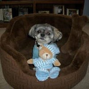 Cynthia Martini's photo