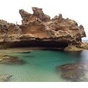 Greg McDonald's photo