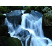 Joana Gulria's photo