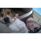 Mike LeBeau's photo