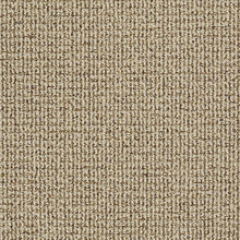 Basement carpets