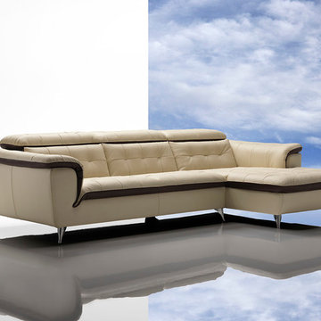 Sectional Sofa & Sofa Set
