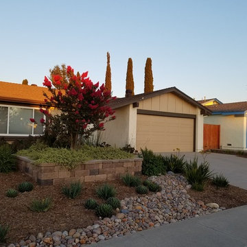 Goodbye grass, Hello San Diego landscape!
