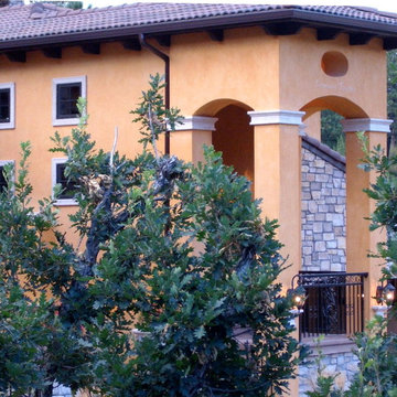 Venetian Plaster - Exterior 2