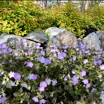Natural Stone Pool Oasis by Liquidscapes & Garden Artisans