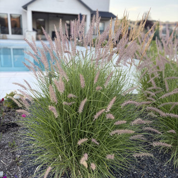 Dry Creek Ranch Landscape Design & Installation