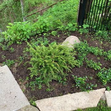 Ravine Restoration and Stabilization