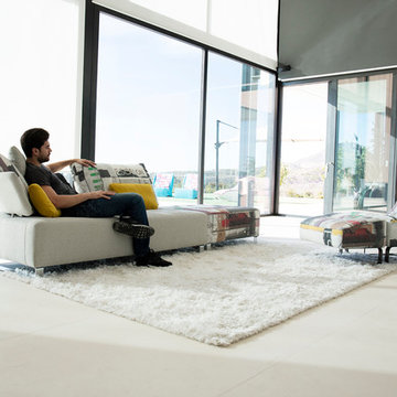 Panky Sectional Sofa by Famaliving California