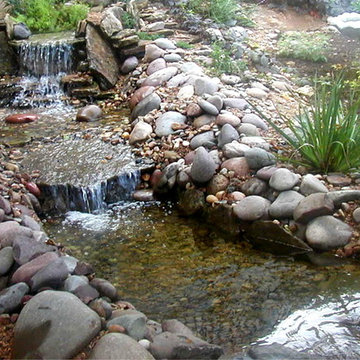 Peterson's Pond