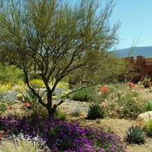 Landscape Ideas