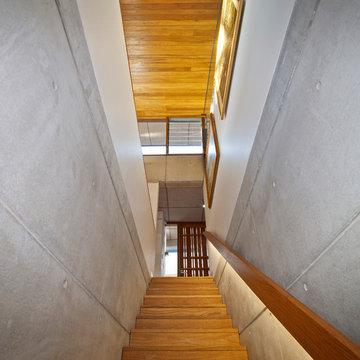 Angophora House