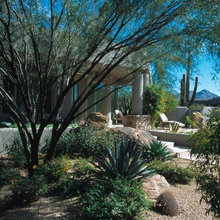 Desert Landscaping