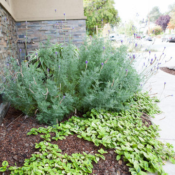 Less Water, More Beautiful