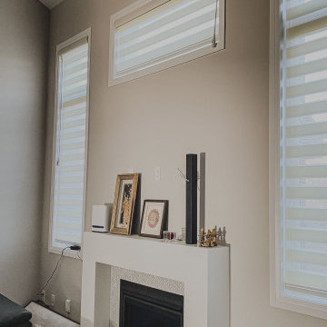 Zebra Blinds Hamilton
