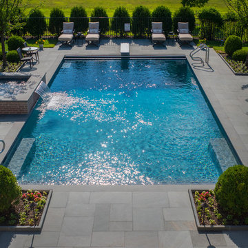 Lake Forest, IL Swimming Pool With Full Steps and Raised Spa With Sheer Descent