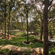 Tree Wells