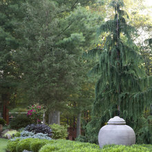 Pinewood Landscape
