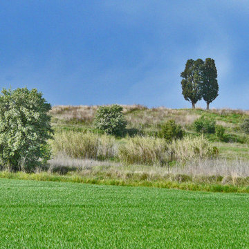 Decoration Murale "A la campagne"