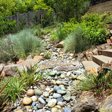 landscape/dry creek