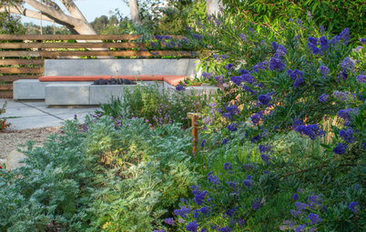 10 Tips for Planting a Beautiful, Low-Maintenance Landscape