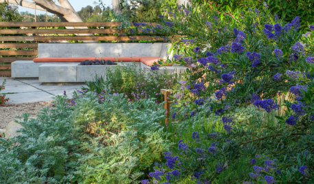 10 Tips for Planting a Beautiful, Low-Maintenance Landscape
