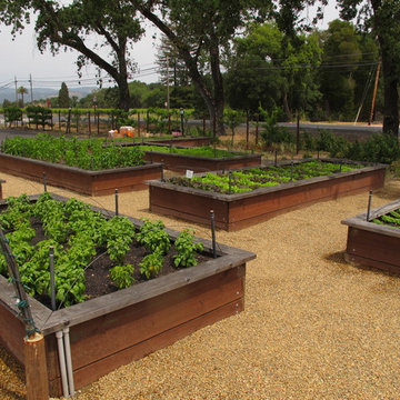 Vegetable gardens