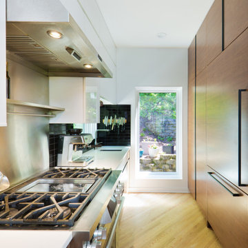 Excelsior Modern Remodel