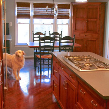 Silver Spring Transitional Kitchen