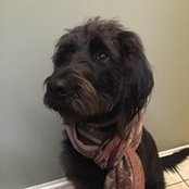 Sarah Strong's photo