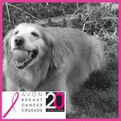 Suzanne Gutbrod's photo