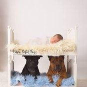 Jean Guffin Lippolis's photo