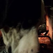 Tammy DeRouen's photo
