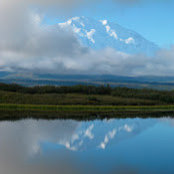 Charlie Coggeshall's photo