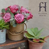 Beverley Coghlan's photo