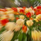 Rina Saborio's photo