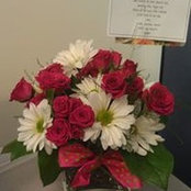 Lisa Cotter's photo