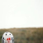 Burlap's House's photo