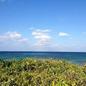 Ginny Arthur's photo