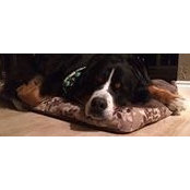 Gina McKinley's photo