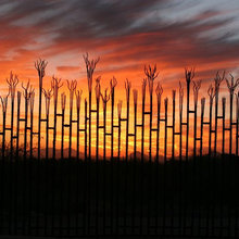 Landscape Ideas