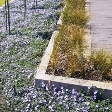 Gorgeous Gardens planters, raised flower beds