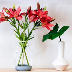Home Decor - 商品