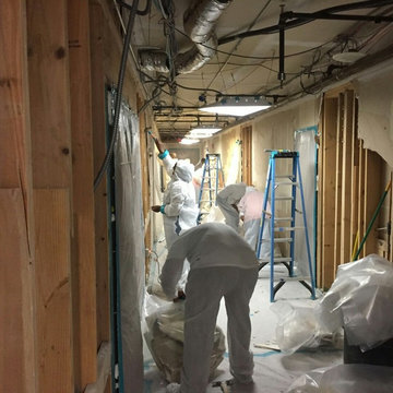 mold remediation