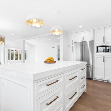 Skokie Single Family Home Remodel KITCHEN REMODELING