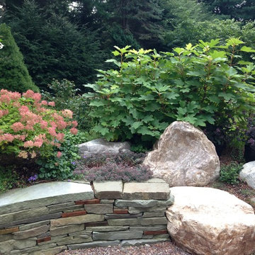 Patio and fire pit garden