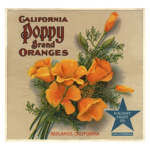 Redlands California Topeka Indian Orange Citrus Fruit Crate Label Art Print