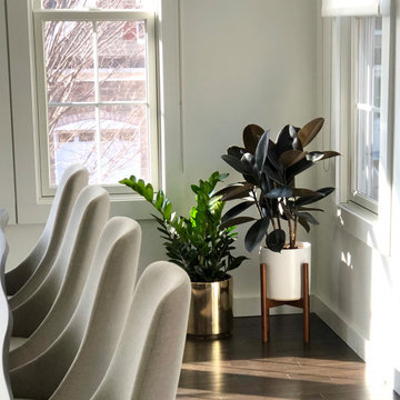 Indoor Botanicals