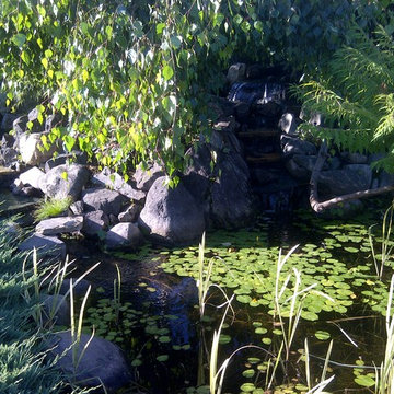 Water Features & Ponds