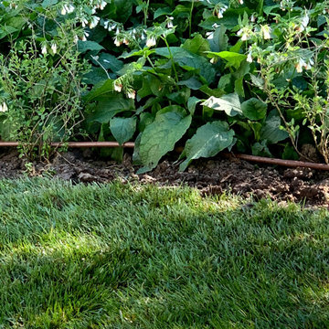 giardino con aiuole di erbacee a mezzo sole