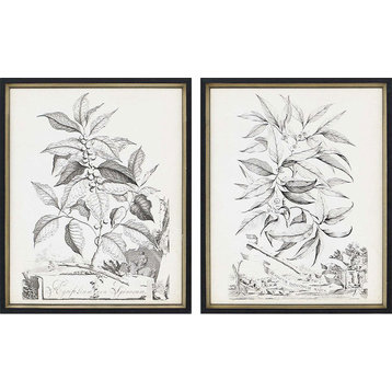 2-Piece "Botanicals II" Framed Artwork Set